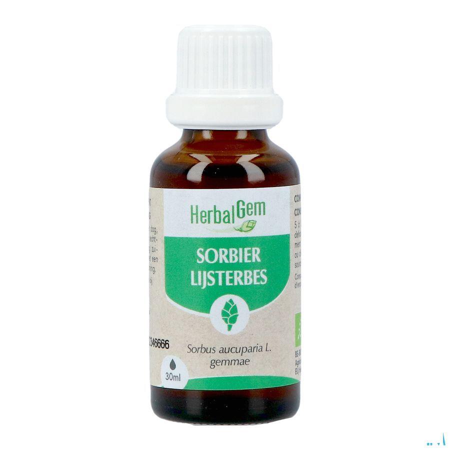 Herbalgem Lijsterbes Bio 30 ml