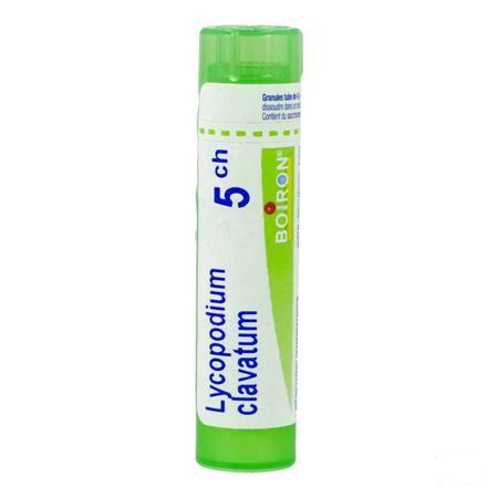 Lycopodium Clavatum 5CH Gr 4g  -  Boiron
