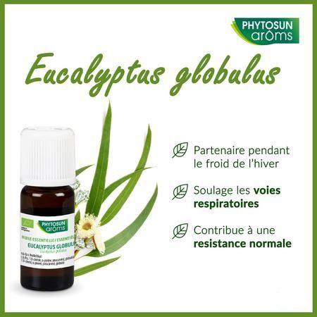 Phytosun Euc. Globulus Fr-bio-01 10 ml