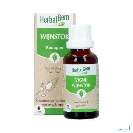 Herbalgem Vigne Bio 30 ml