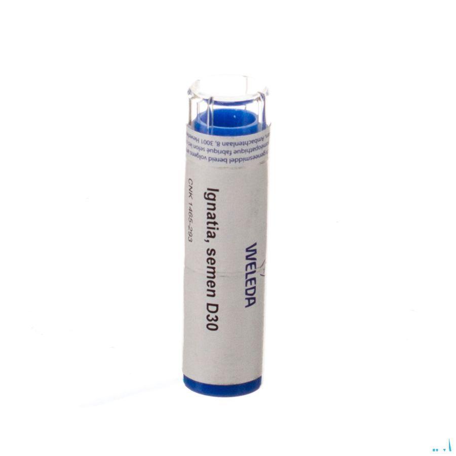 Ignatia Semen D30 Gr 4g  -  Weleda