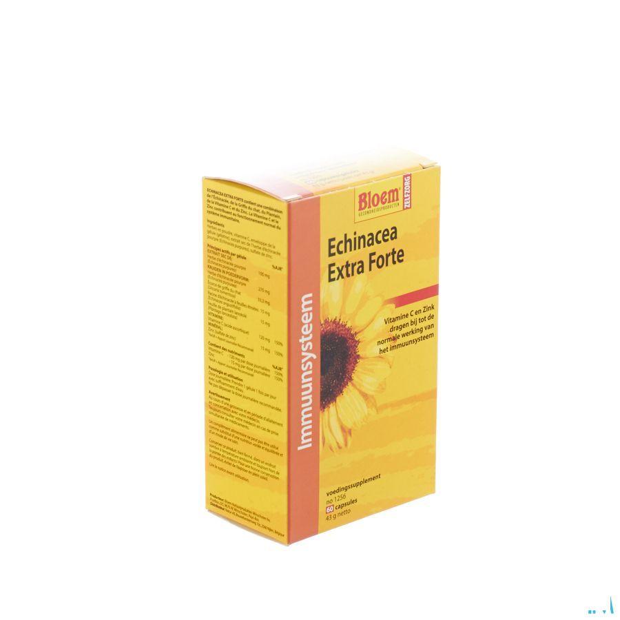 Echinacea Extra Forte Capsule 60