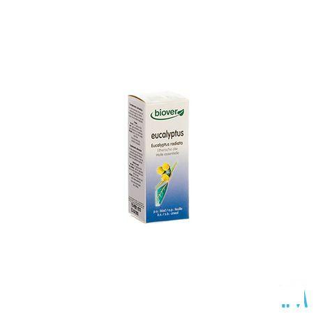 Eucalyptus Radiata Essentiele Olie Bio 10 ml