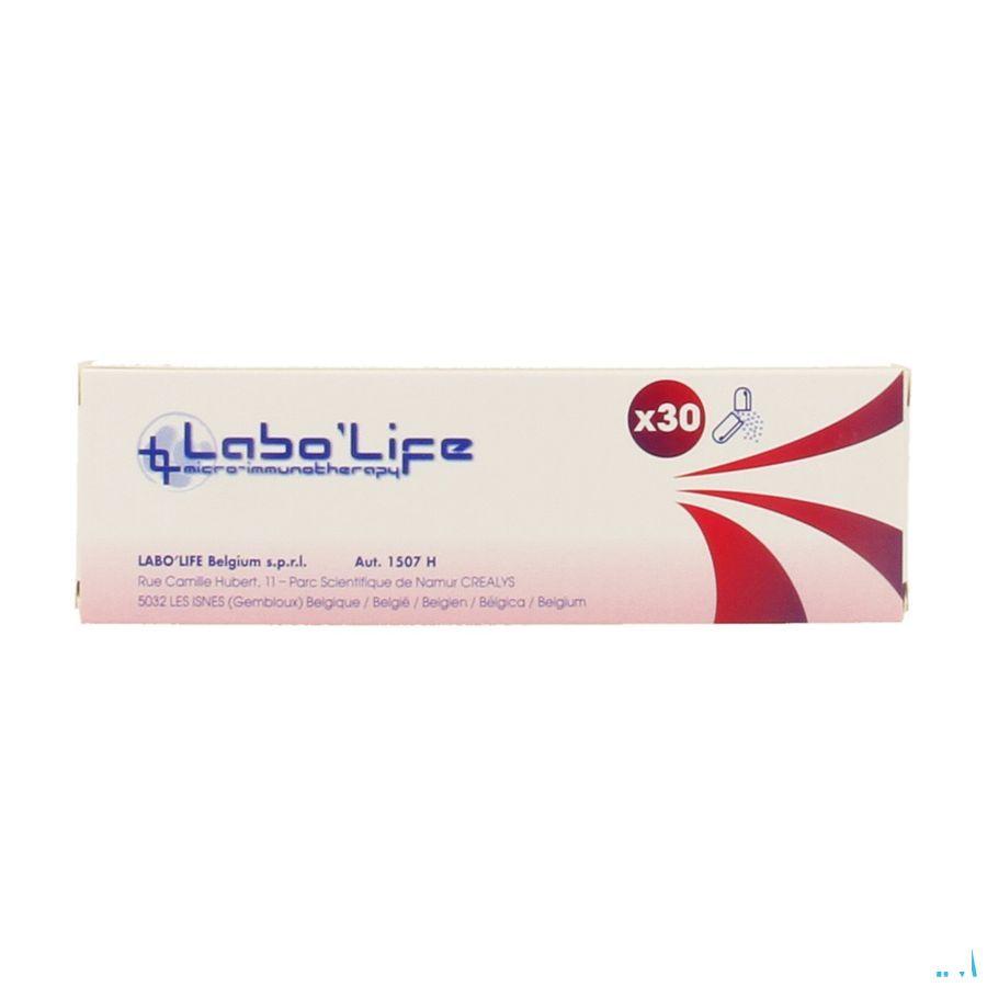 Bmp4 5CH Capsule 30  -  Labo Life