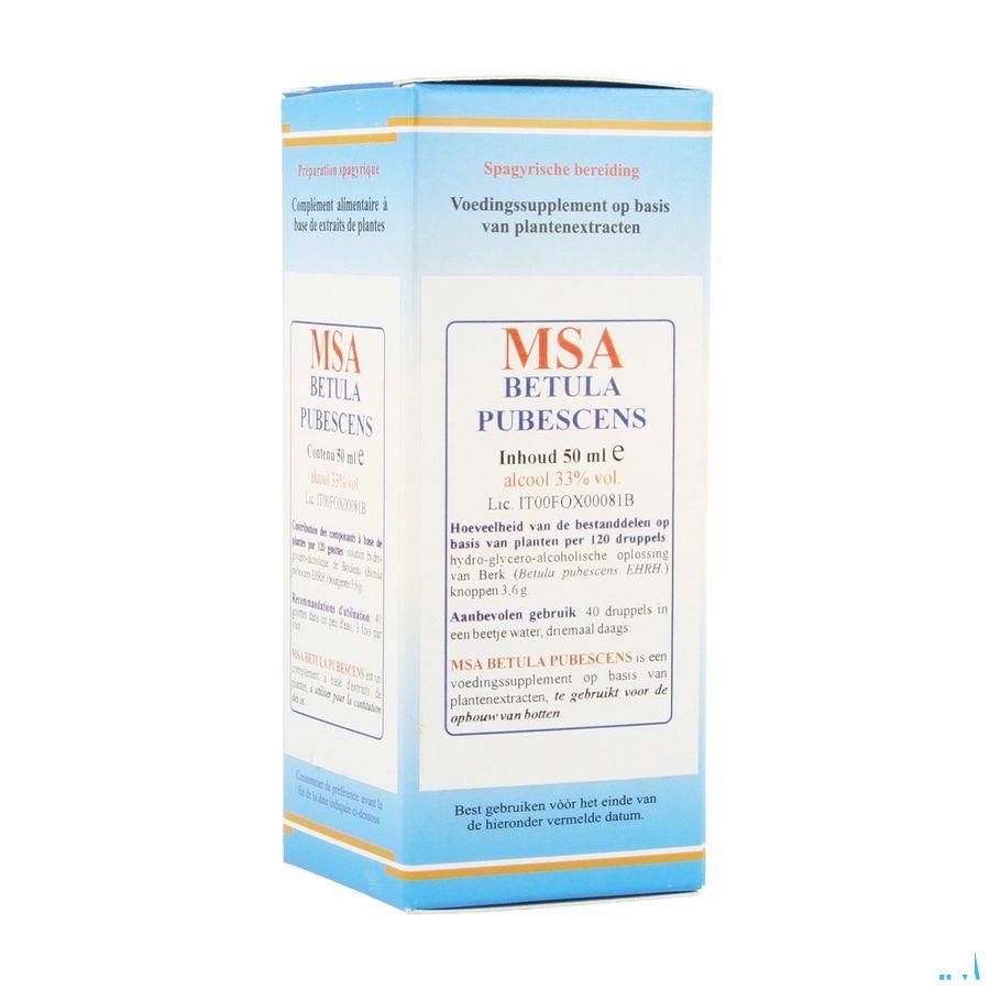 Betula Pubescens Msa Maceraat Druppels 50 ml  -  Herboplanet