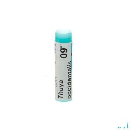 Thuya Occidentalis 9CH Gl  -  Boiron