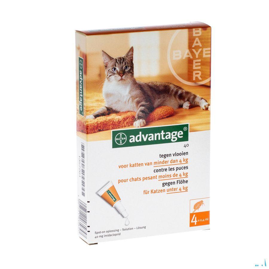 Advantage 40 Chats 