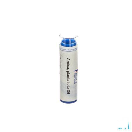 Arnica Planta Tota D6 Gr 4g  -  Weleda