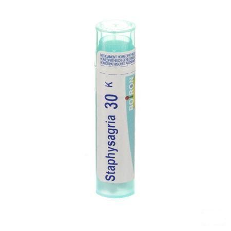 Staphysagria 30K Gr 4g  -  Boiron