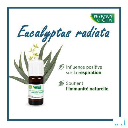 Phytosun Euc. Radiata Fr-bio-01 10 ml