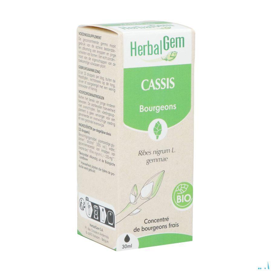 Herbalgem Zwarte Bes Maceraat 30 ml  -  Herbalgem