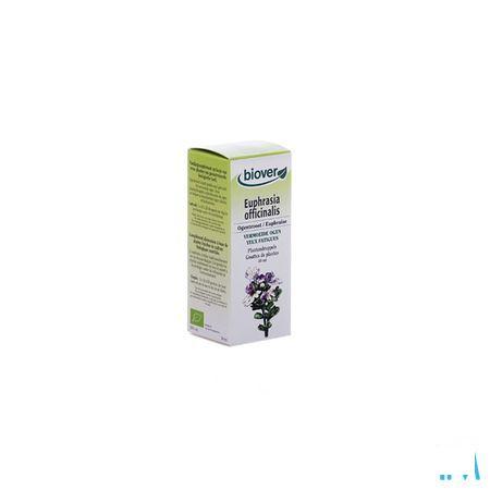 Ogentroost Teinture 50 ml   -  Ocebio