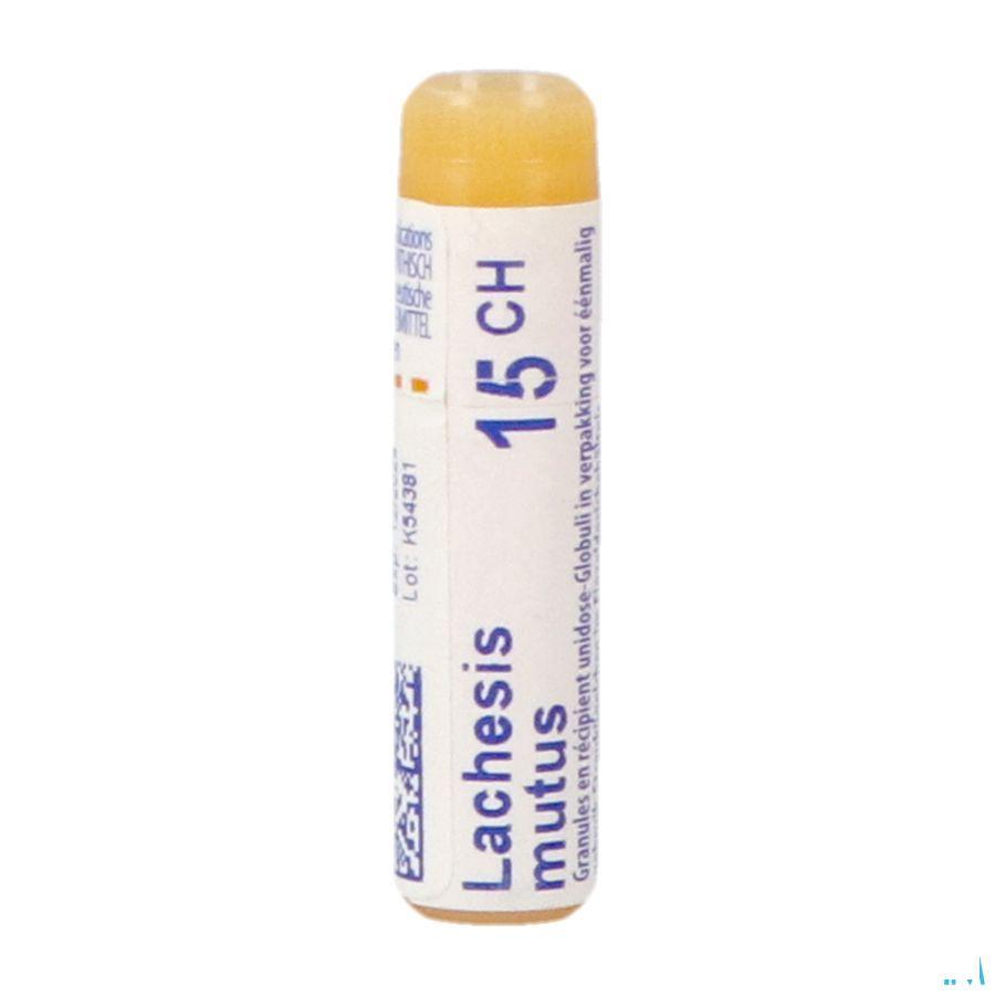 Lachesis Mutus 15CH Gl  -  Boiron