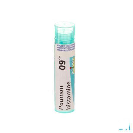 Poumon Histamine 9CH Gr 4g  -  Boiron