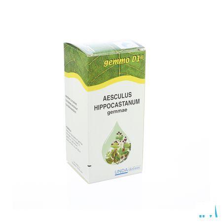 Aesculus Hippoc.gemmo D1 125 ml  -  Boiron