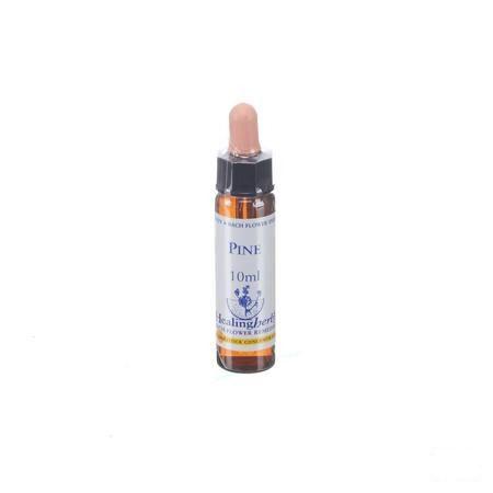 Healing Herbs Pine 10 ml