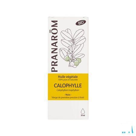 Calophyllus Bio Plantaardige Olie 50 ml  -  Pranarom