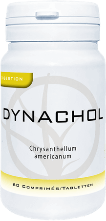 Dynachol Comprimes 60x400 mg Dynar  -  Dynarop Products