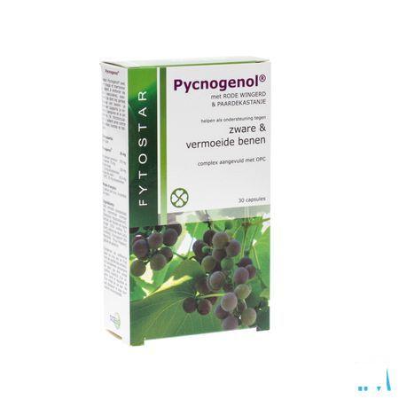 Fytostar Pycnogenol Capsule 30 7587  -  Ocebio