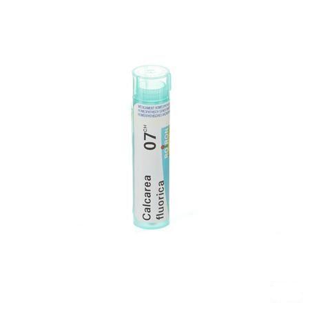 Calcarea Fluorica 7CH Gr 4g  -  Boiron