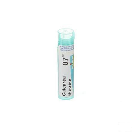 Calcarea Fluorica 7CH Gr 4g  -  Boiron