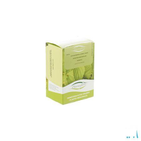 Zoethoutwortel Extract Pastille 100 gr  -  Fagron