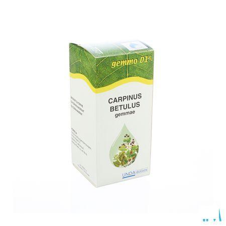 Carpinus Bet.gem.gemmo D1 125 mlboiron  -  Boiron