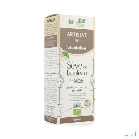 Herbalgem Artiseve Bio Fl 250 ml  -  Herbalgem