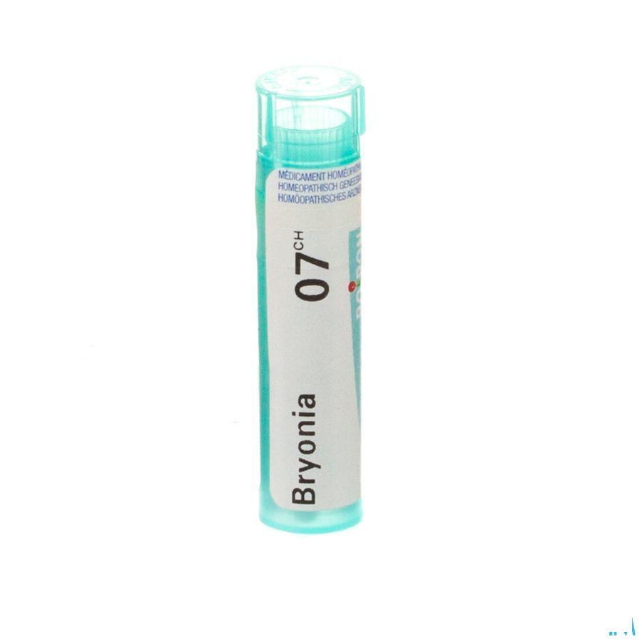 Bryonia 7CH Gr 4g  -  Boiron