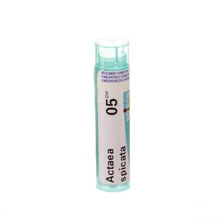 Actaea Spicata 5CH Gr 4g  -  Boiron