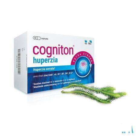 Cogniton Huperzia Caps 60