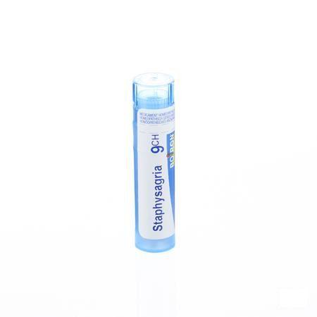 Staphysagria 9CH Gr 4g  -  Boiron