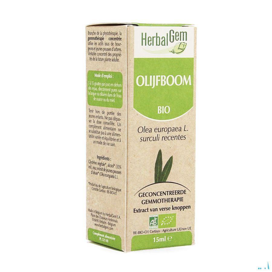 Herbalgem Olijfboom Maceraat 15 ml  -  Herbalgem