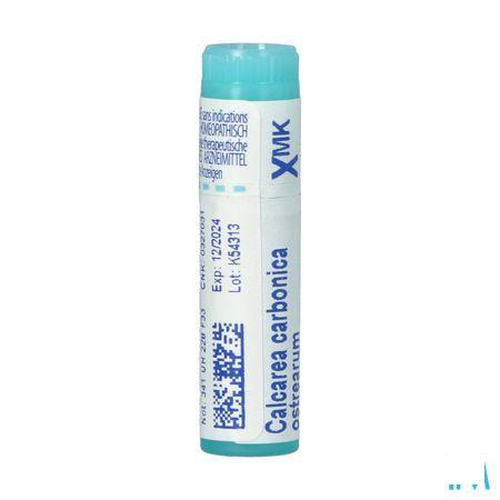 Calcarea Carbonica Ostrearum XMK Gl  -  Boiron