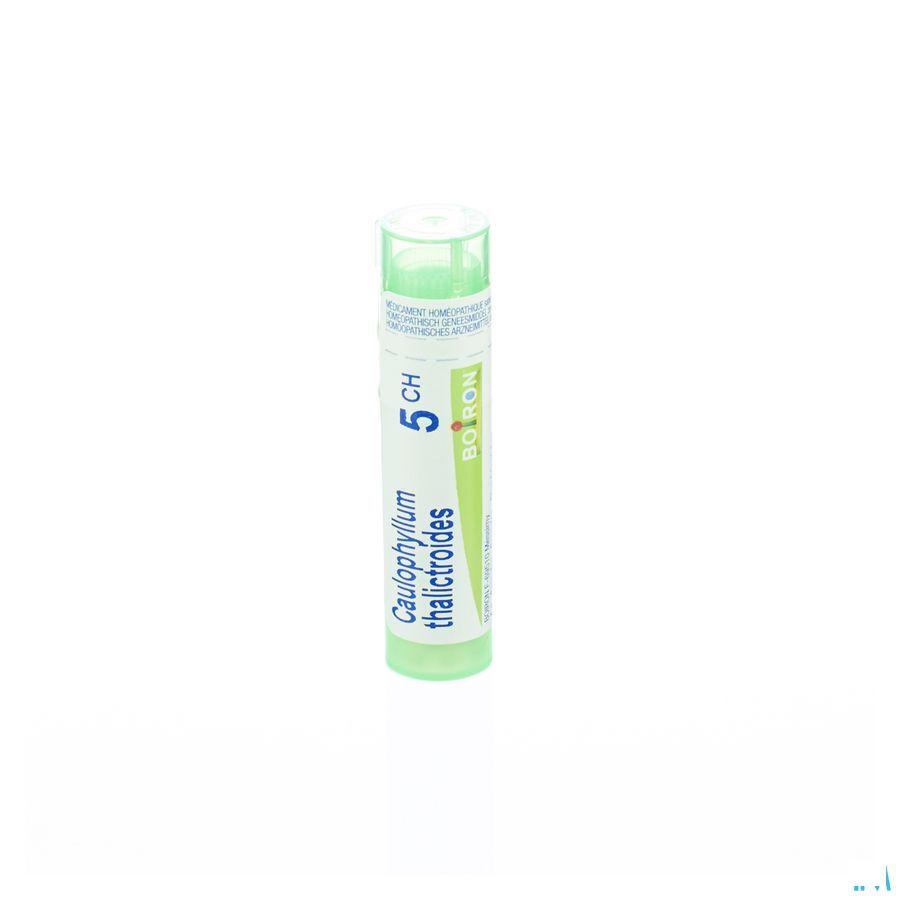 Caulophyllum Thalictroides 5CH Gr 4g  -  Boiron