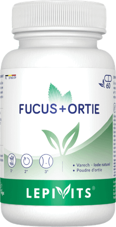 Leppin Blaaswier + Brandnetel Gel 60  -  Lepivits