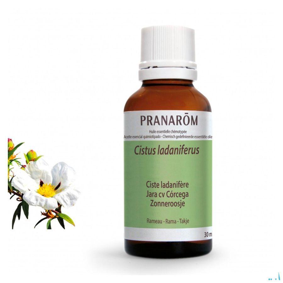 Ciste Ladanifere Essentiele Olie 30 ml  -  Pranarom