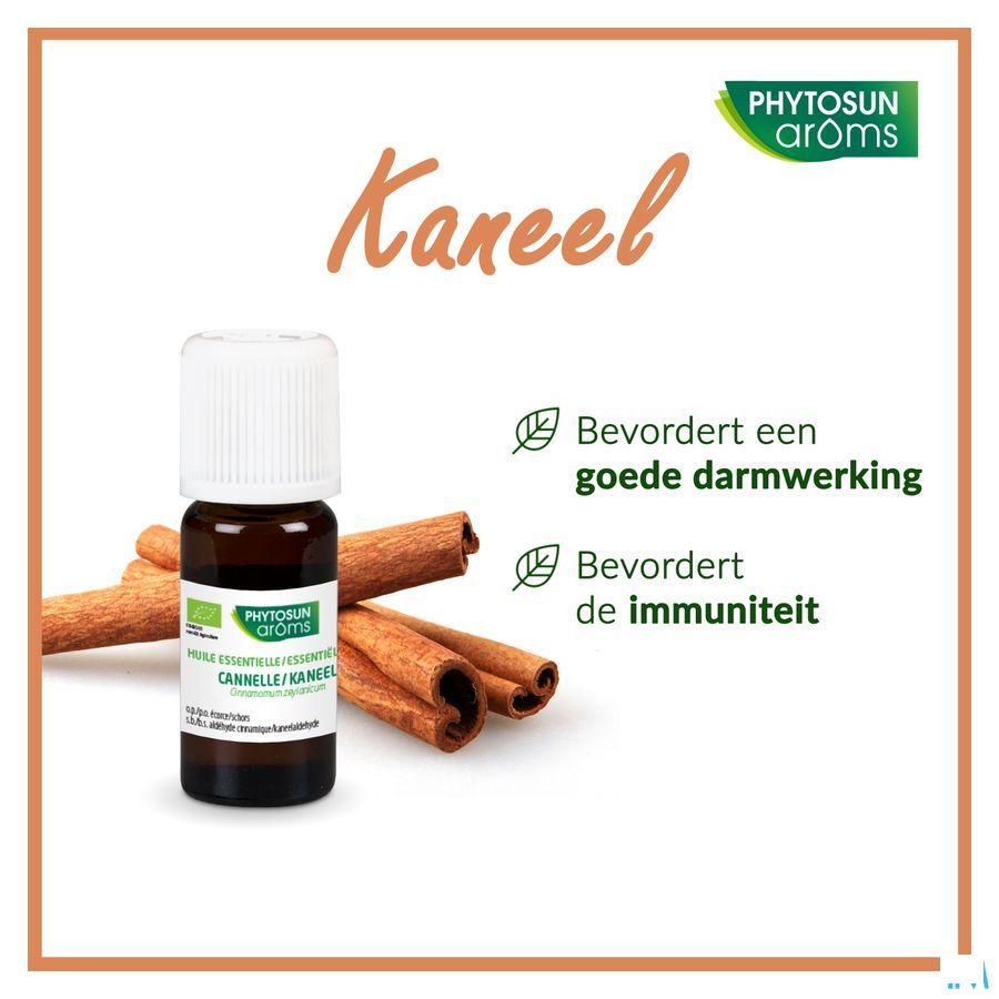 Phytosun Kaneel Fr-bio-01 5 ml