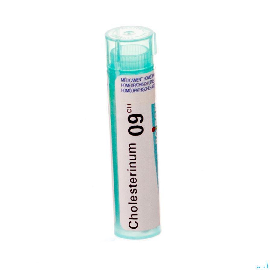Cholesterinum 9CH Gr 4g  -  Boiron