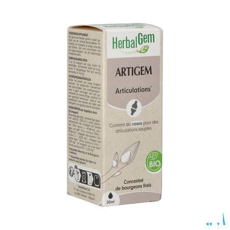 Herbalgem Artigem Bio 30 ml