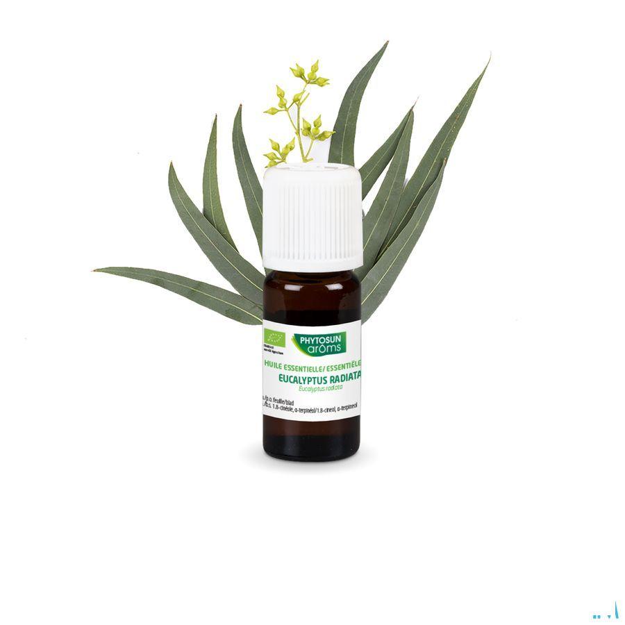 Phytosun Euc. Radiata Fr-bio-01 10 ml