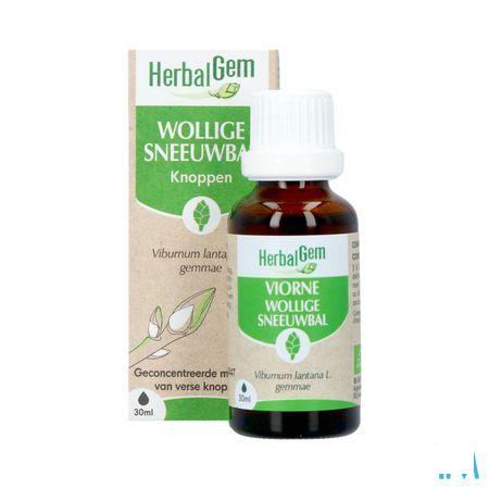 Herbalgem Viorne Bio 30 ml