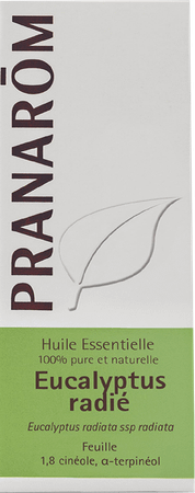 Eucalyptus Radiata Essentiele Olie 10 ml  -  Pranarom