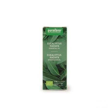 Eucalyptus Radiata 10 ml