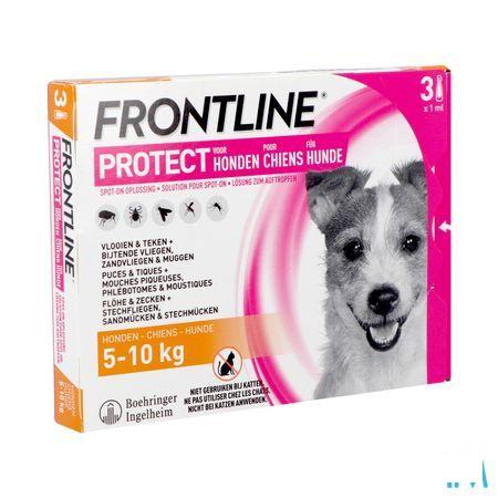 Frontline Protect Spot On Opl Hond 5-10Kg Pipet 3