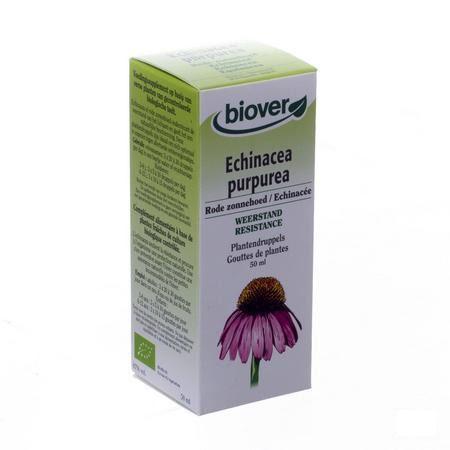 Rode Zonnehoed Teinture Bio 50 ml   -  Ocebio