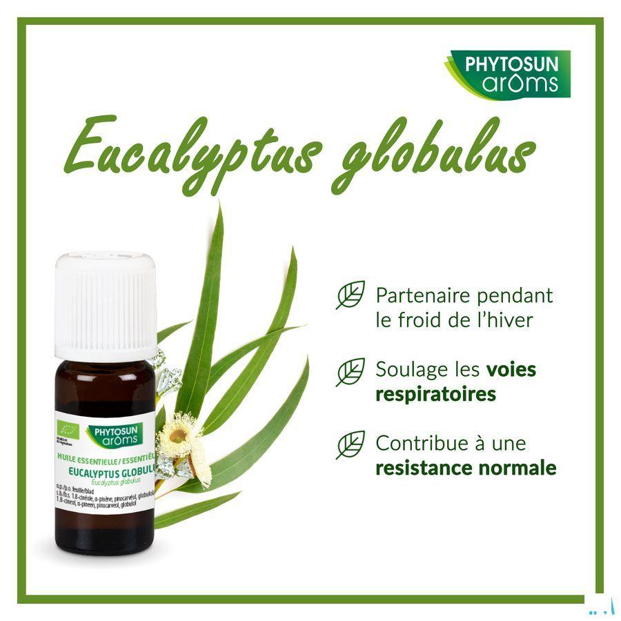 Phytosun Euc. Globulus Fr-bio-01 10 ml