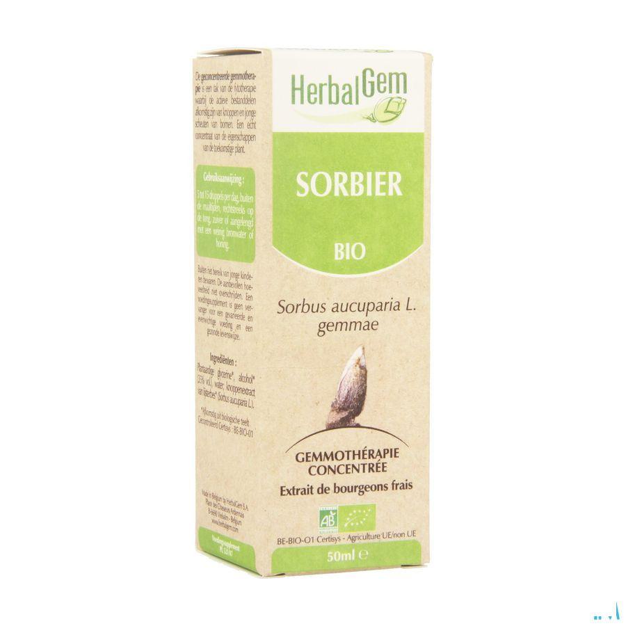 Herbalgem Lijsterbes Maceraat 50 ml  -  Herbalgem