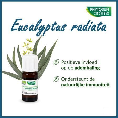 Phytosun Euc. Radiata Fr-bio-01 10 ml