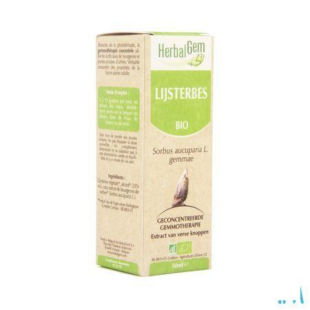 Herbalgem Lijsterbes Maceraat 50 ml  -  Herbalgem